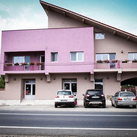Pensiunea Oxana Lipova Exteriér fotografie